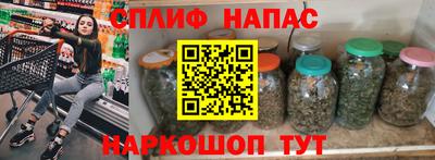стафф Будённовск